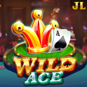 Wild Ace - xbjili slot game
